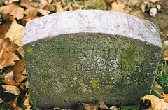 Grave of Gezina Voskuil.