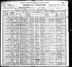 Dover, Shawnee county, Kansas 1900 census records